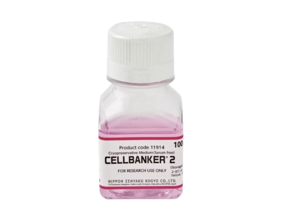 CELLBANKER 2 무혈청 동결보존액 제품 병
