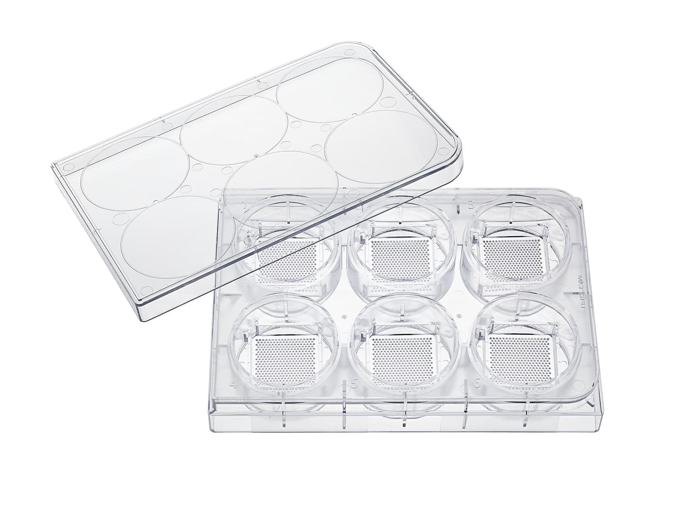 StemFIT 3D 6웰 플레이트와 뚜껑, 각 웰 바닥의 마이크로웰 배열